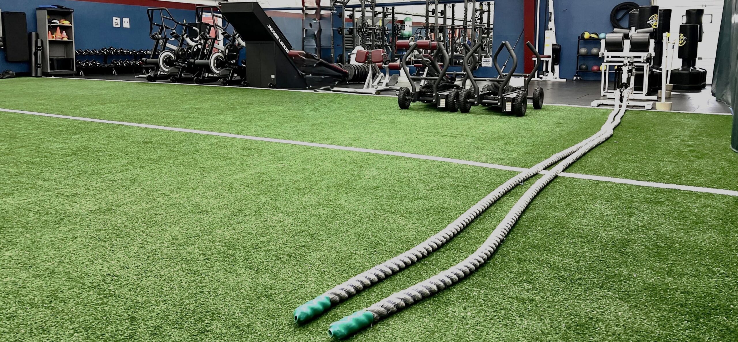 Turf Area